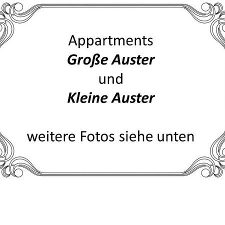 Auster-Appartements Saarbrücken Esterno foto